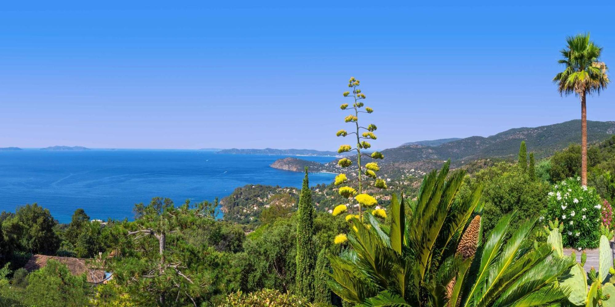 Vistazur Luxueux appartement avec terrasse et piscine Le Le Rayol-Canadel-sur-Mer Extérieur photo